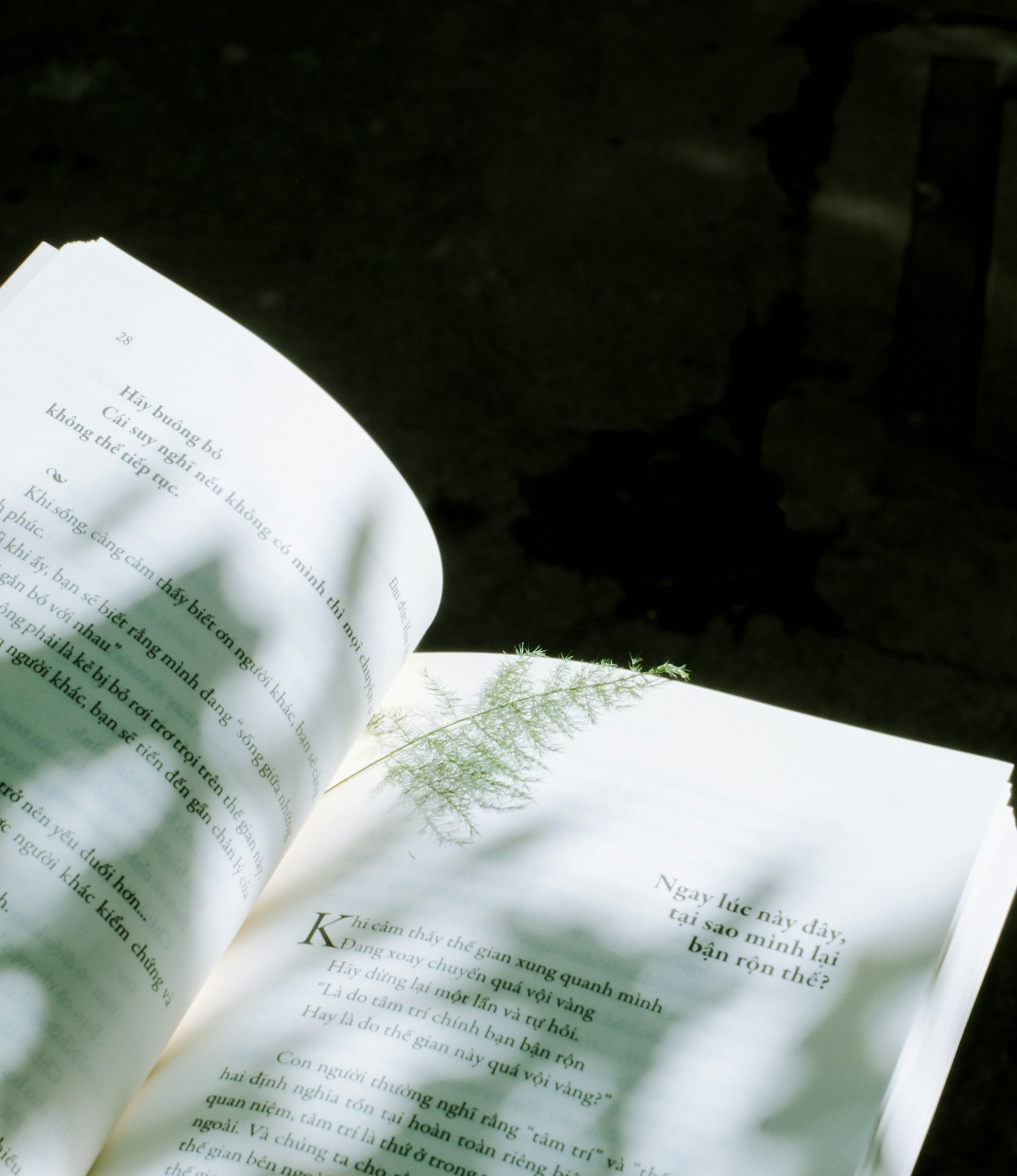 How Personal Reflections Can Inspire Change